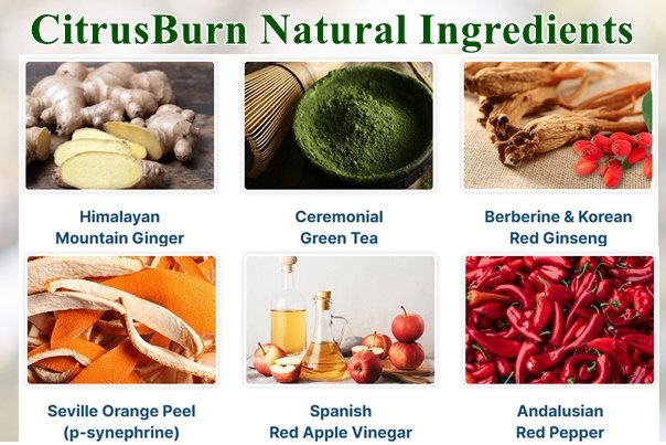 Citrusburn Ingredients
