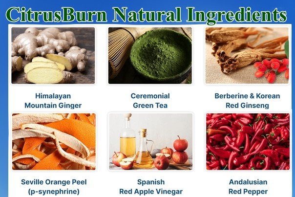Citrusburn Ingredients